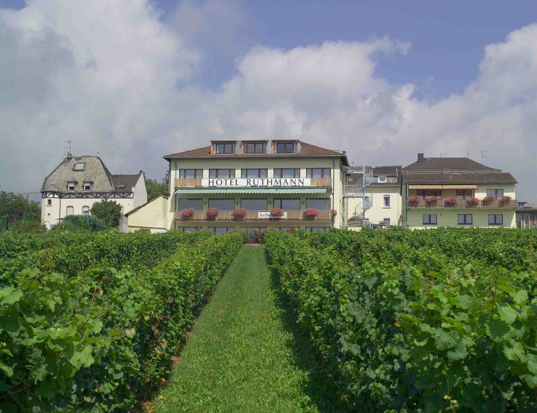 Ruthmann - Rheinblick - Rheinterrasse Östrich Winkel